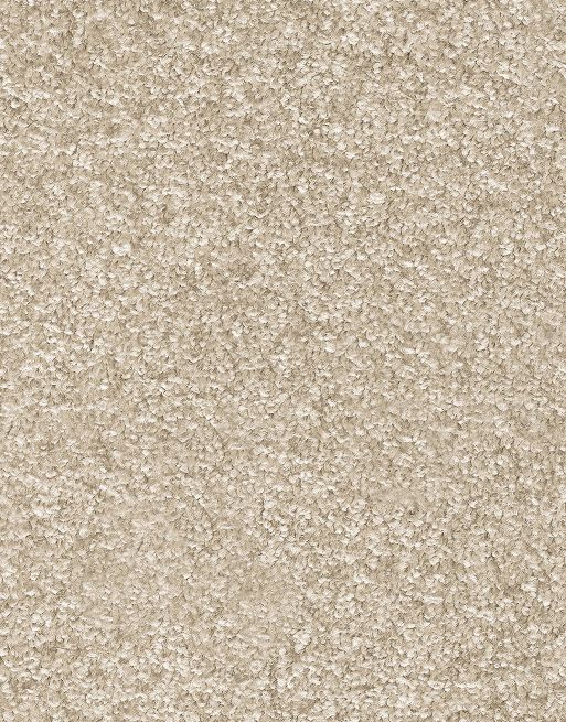 The 17mm pile height of this carpet gives an exceptional depth that cushions every step you take. Carpets with this pile height are warm, soft and comfortable underfoot!