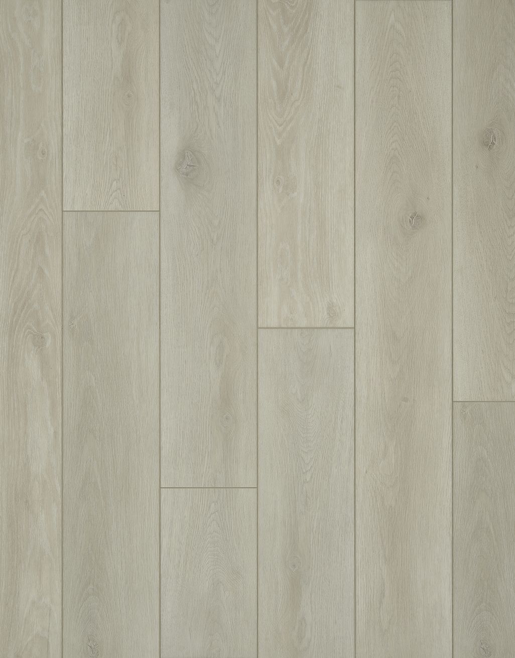 EvoCore Premium - Arctic Oak 3