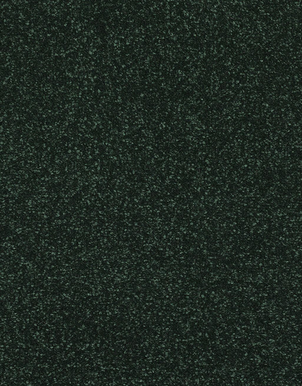 Allure - Fir Green [3.00m x 5m] 3