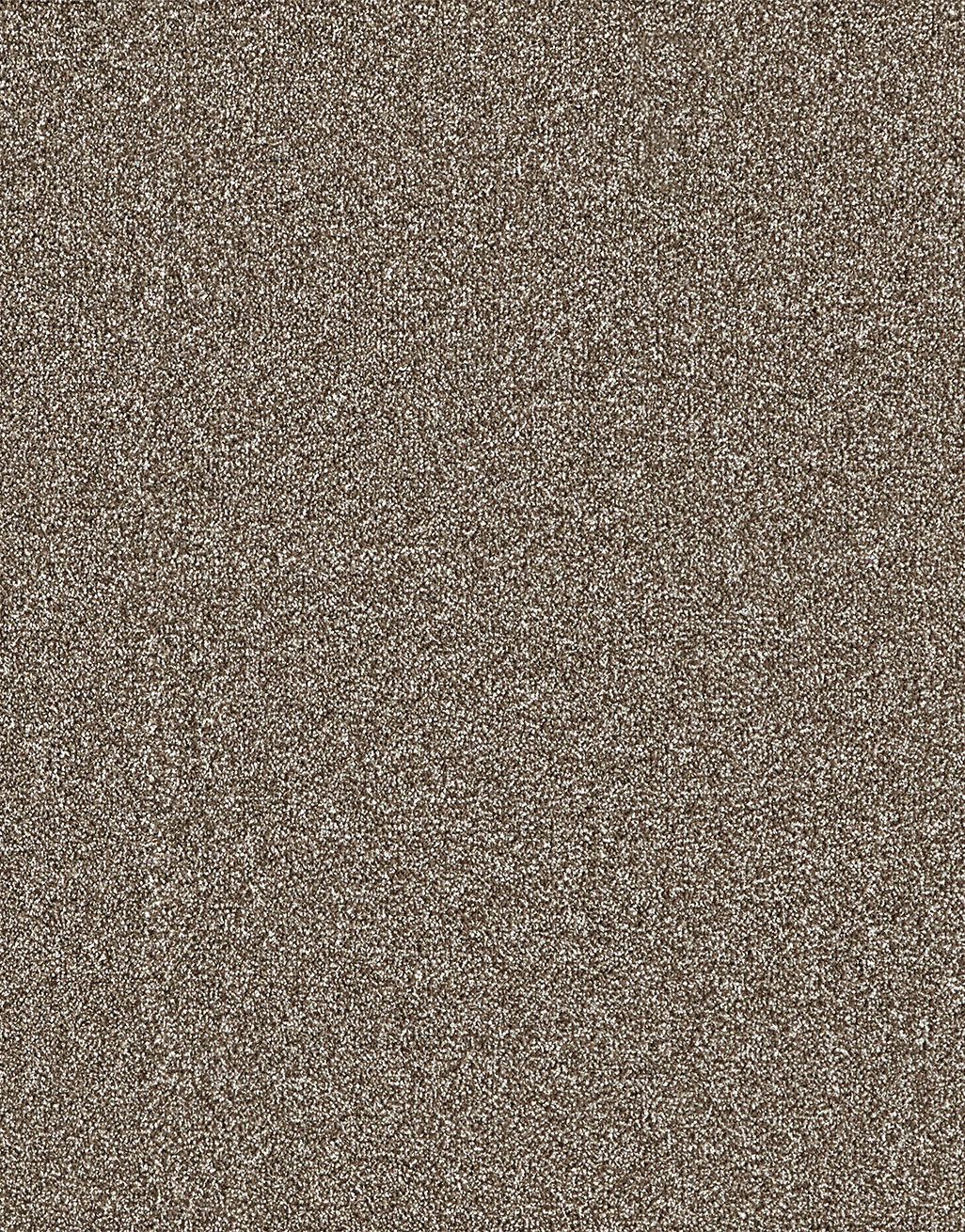 Lille - Taupe [3.75m x 5m] 4