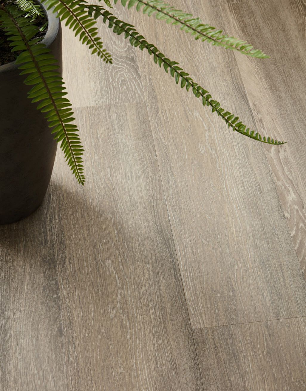 Elegance Plank - Sandy Cove Oak 2