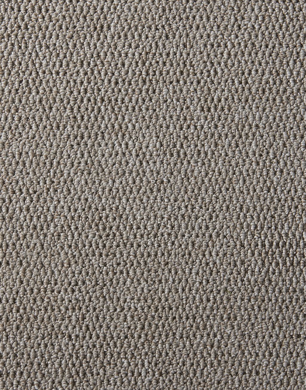 St Ives - Dark Beige [2.50m x 5m] 3