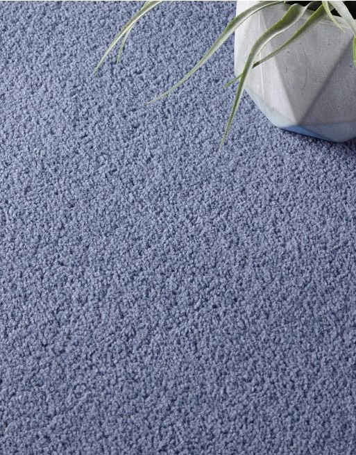blue grey carpet